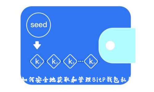 如何安全地获取和管理BitP钱包私钥