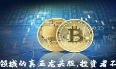揭示数字货币领域的真正龙头股,投资者不可错