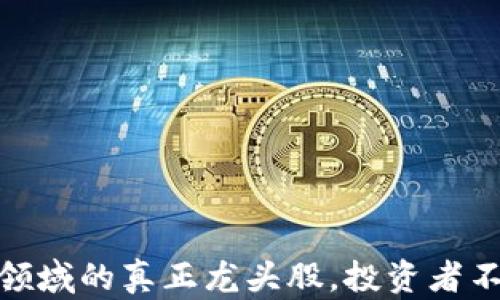 揭示数字货币领域的真正龙头股,投资者不可错过的机会