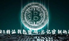 如何找回B特派钱包密码:忘记密钥的处理指南