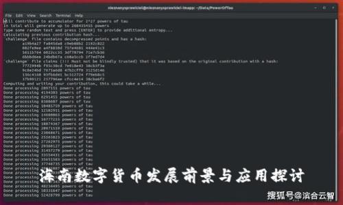 海南数字货币发展前景与应用探讨