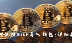 如何使用BitP导入钱包:详细指南