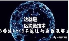解析B特派KYCB不通过的原因及解决方案