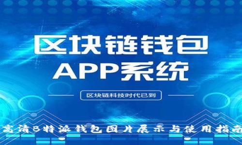 高清B特派钱包图片展示与使用指南