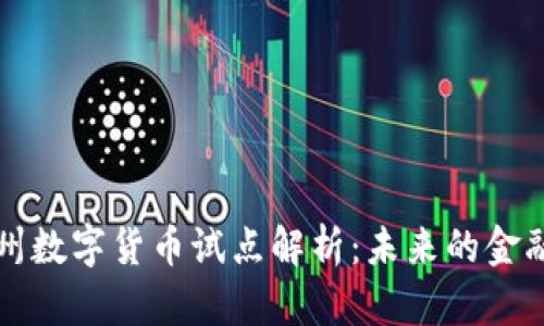 成都与苏州数字货币试点解析:未来的金融变革之路
