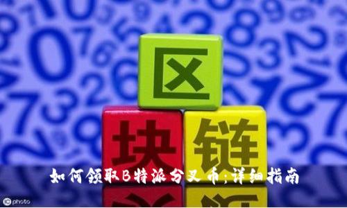 如何领取B特派分叉币:详细指南