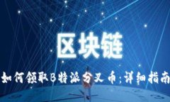 如何领取B特派分叉币:详细指南