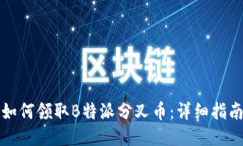 如何领取B特派分叉币:详细指南