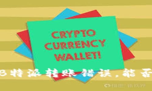 如何处理B特派转账错误,能否追回资金