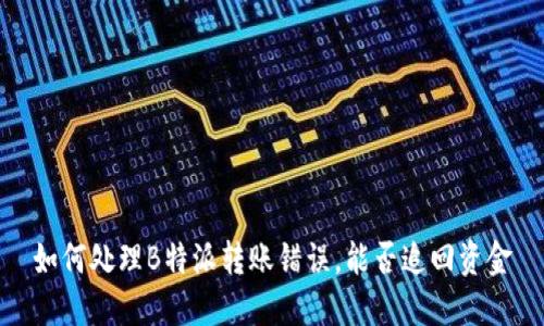 如何处理B特派转账错误,能否追回资金