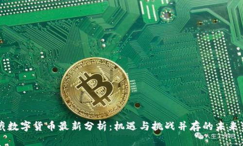 西藏数字货币最新分析:机遇与挑战并存的未来蓝图