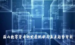 国内数字货币的发展现状与未来趋势分析