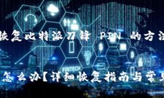 的注意:以下内容是关于恢复比特派刀锋 PIN 的方