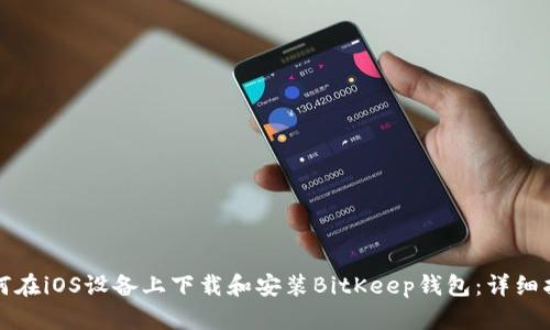 如何在iOS设备上下载和安装BitKeep钱包:详细指南