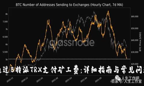 如何通过B特派TRX支付矿工费:详细指南与常见问题解析