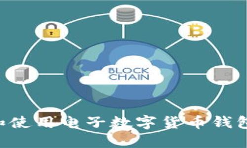 如何下载和使用电子数字货币钱包:完整指南