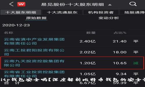 bitp钱包安全吗?深度解析比特币钱包的安全性