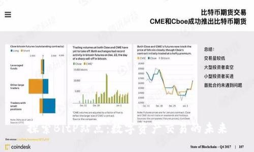探索BitP站点:数字资产交易的未来
