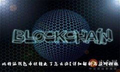 比特派钱包币被转走了怎么办?详细解析与应对