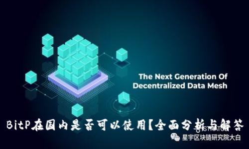 BitP在国内是否可以使用?全面分析与解答