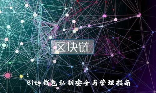 :
Bitp钱包私钥安全与管理指南