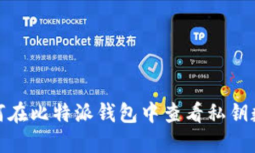 如何在比特派钱包中查看私钥数据