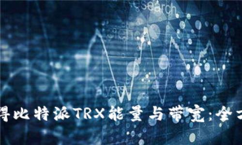 如何获得比特派TRX能量与带宽:全方位指南