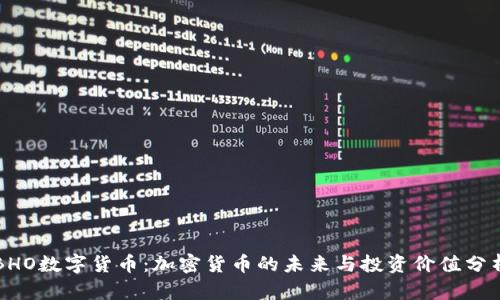 BHO数字货币:加密货币的未来与投资价值分析