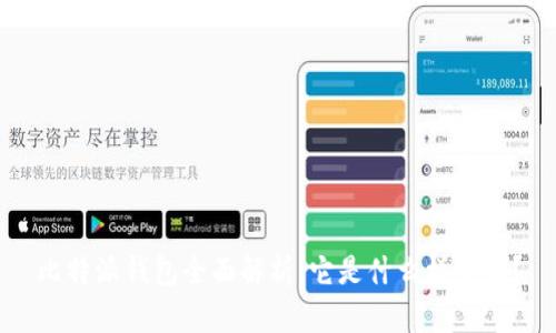 比特派钱包全面解析:它是什么样子的?