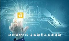 比特派分BTG:全面解析及应用详解