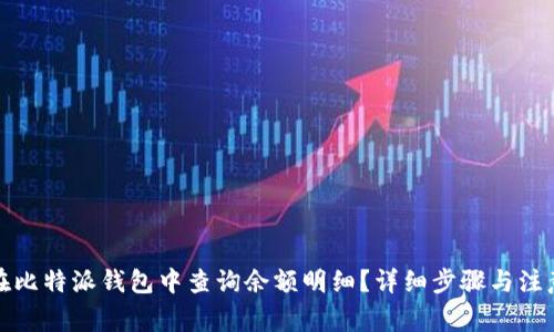 如何在比特派钱包中查询余额明细?详细步骤与注意事项