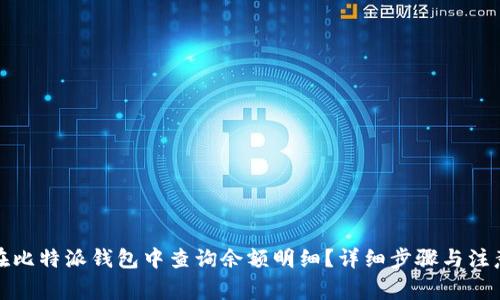 如何在比特派钱包中查询余额明细?详细步骤与注意事项