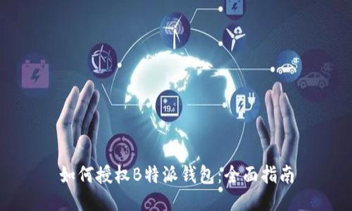 如何授权B特派钱包:全面指南