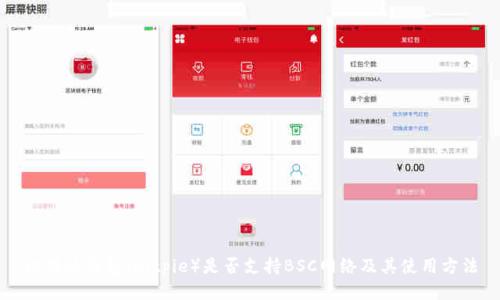 比特派钱包(Bitpie)是否支持BSC网络及其使用方法