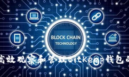 如何高效观察和管理BitKeep钱包的使用